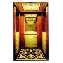 Good Qulity Luxury Machine RoomLess Passenger Lift used home elevators